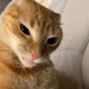 Meet your Posher, Rau